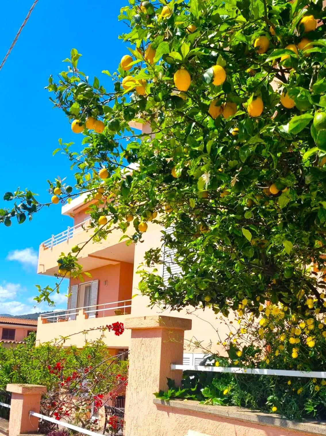 Casa Vacanze Mura カーラゴノネ エクステリア 写真